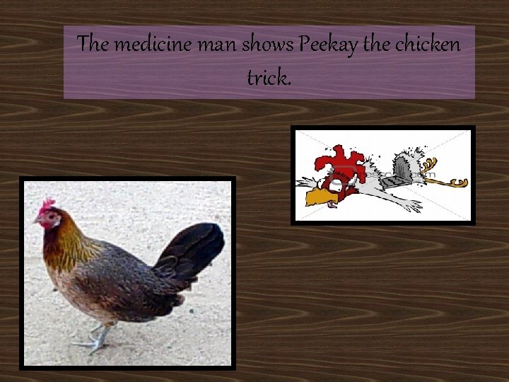 The medicine man shows Peekay the chicken trick. 