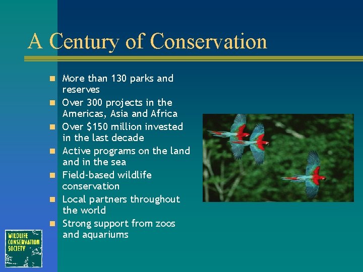 A Century of Conservation n More than 130 parks and n n n reserves