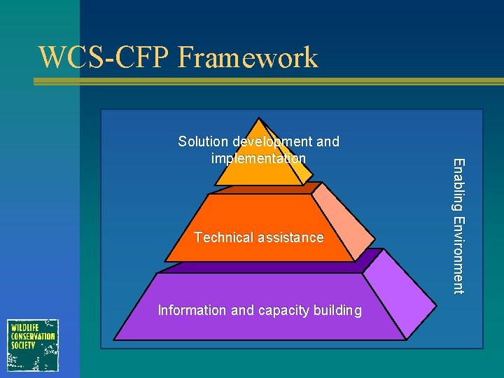 WCS-CFP Framework Technical assistance Information and capacity building Enabling Environment Solution development and implementation