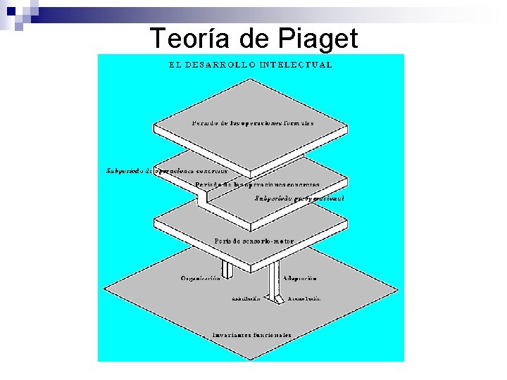 Teoría de Piaget 