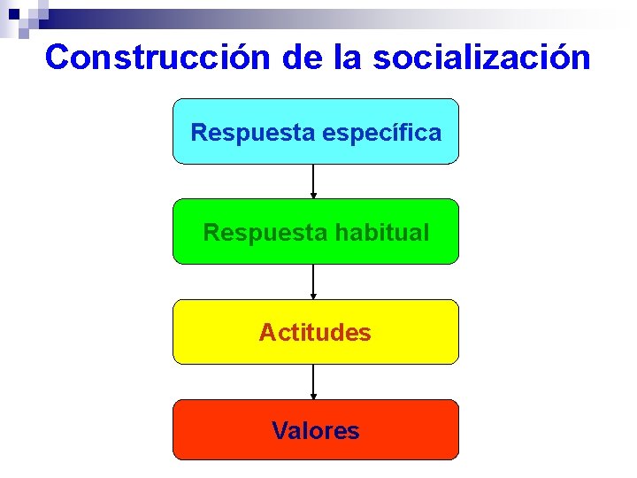 Construcción de la socialización Respuesta específica Respuesta habitual Actitudes Valores 