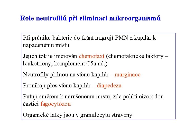 Role neutrofilů při eliminaci mikroorganismů Při průniku bakterie do tkání migrují PMN z kapilár