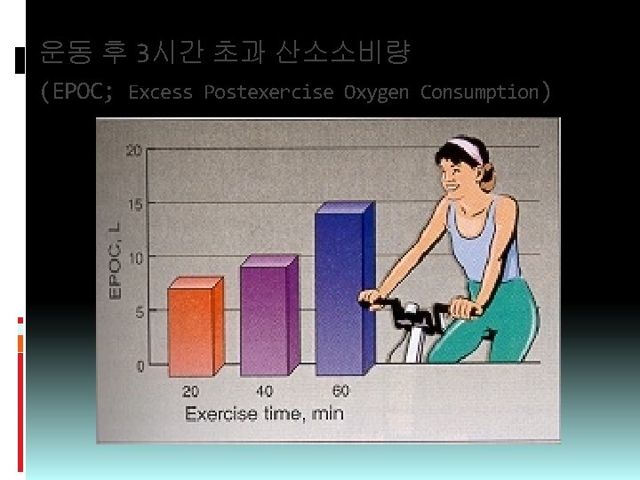 운동 후 3시간 초과 산소소비량 (EPOC; Excess Postexercise Oxygen Consumption) 