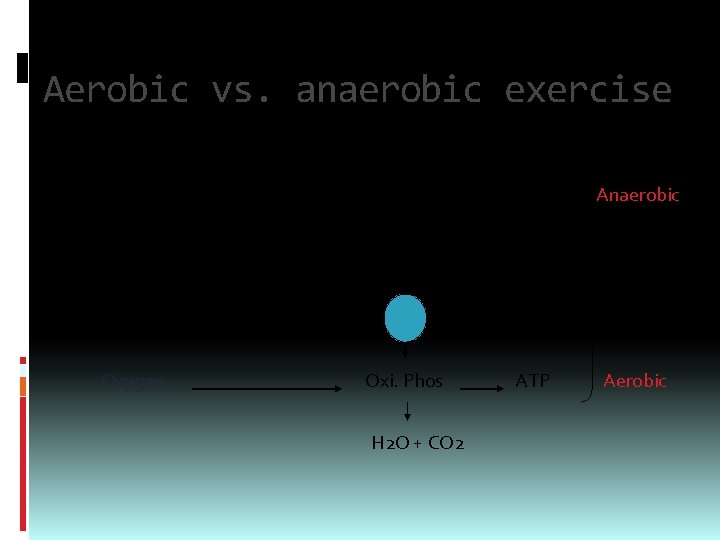 Aerobic vs. anaerobic exercise Glycogen glycolysis Glucose G-6 -P Fatty acids ATP Pyruvate Fat