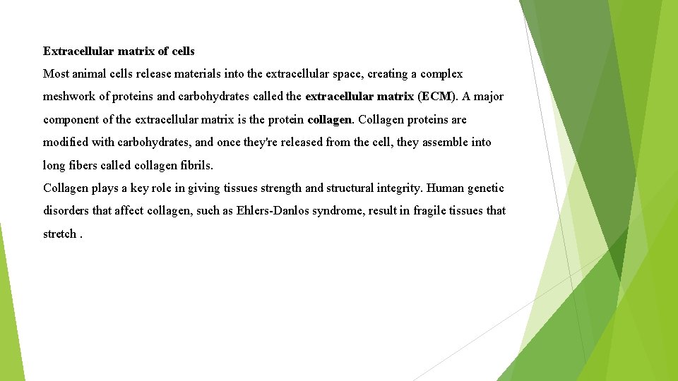 Extracellular matrix of cells Most animal cells release materials into the extracellular space, creating Extracellular matrix of cells Most animal cells release materials into the extracellular space, creating