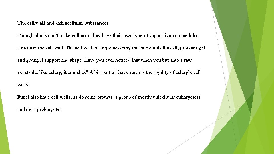 The cell wall and extracellular substances Though plants don't make collagen, they have their The cell wall and extracellular substances Though plants don't make collagen, they have their