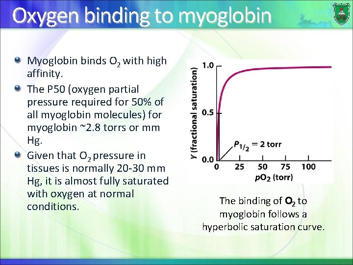 Oxygen binding to myoglobin Myoglobin binds O 2 with high affinity. The P 50