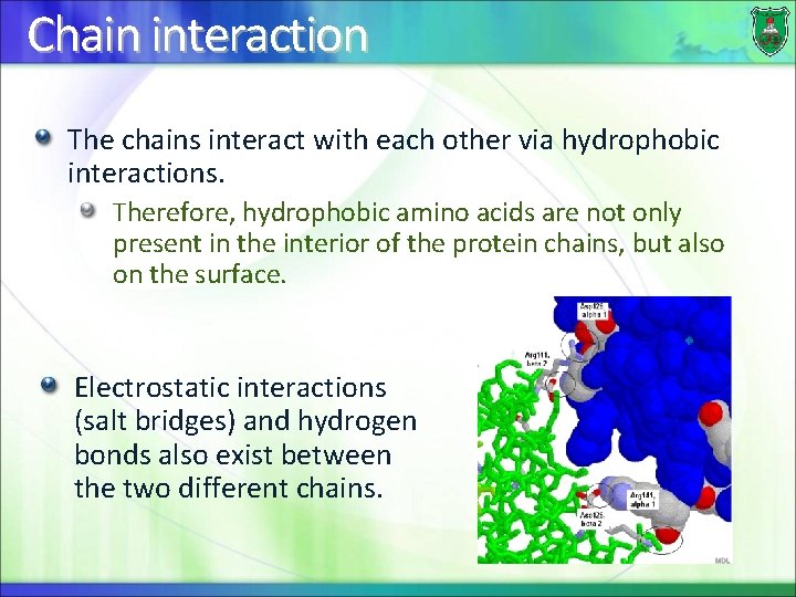 Chain interaction The chains interact with each other via hydrophobic interactions. Therefore, hydrophobic amino