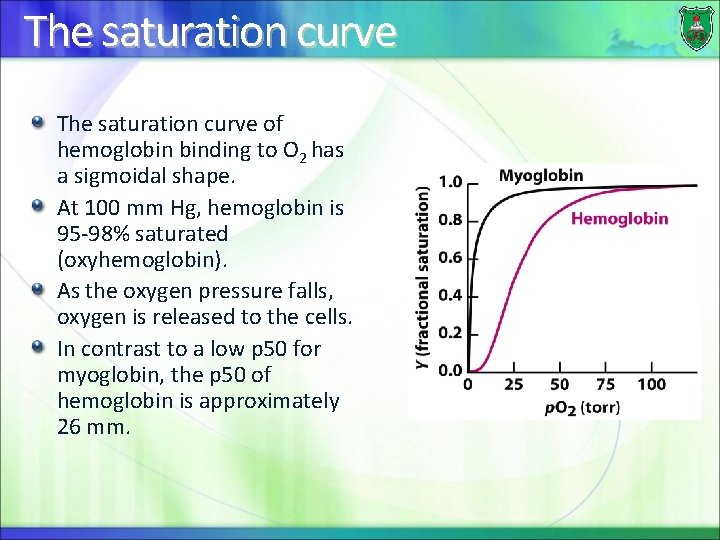 The saturation curve of hemoglobin binding to O 2 has a sigmoidal shape. At