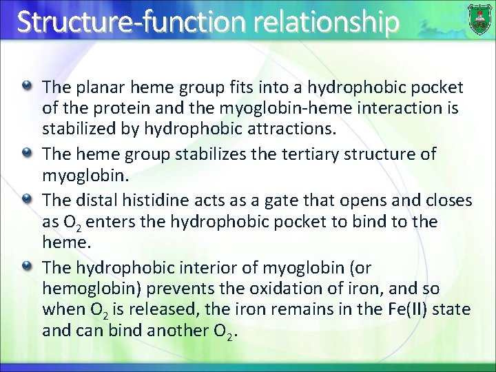 Structure-function relationship The planar heme group fits into a hydrophobic pocket of the protein