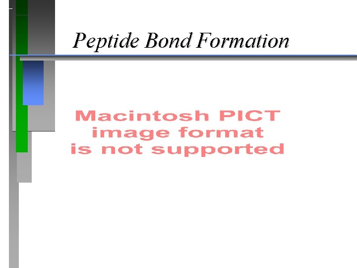 Peptide Bond Formation 