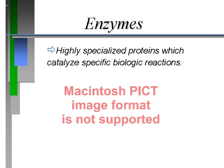 Enzymes ðHighly specialized proteins which catalyze specific biologic reactions. 