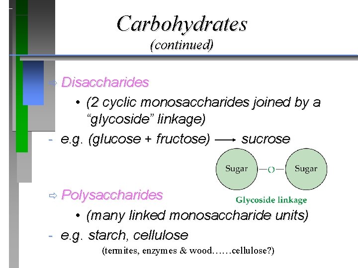 Carbohydrates (continued) ð Disaccharides • (2 cyclic monosaccharides joined by a “glycoside” linkage) -
