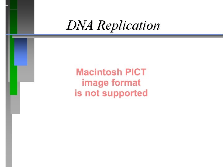 DNA Replication 