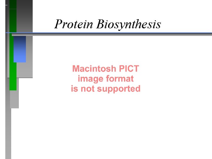 Protein Biosynthesis 