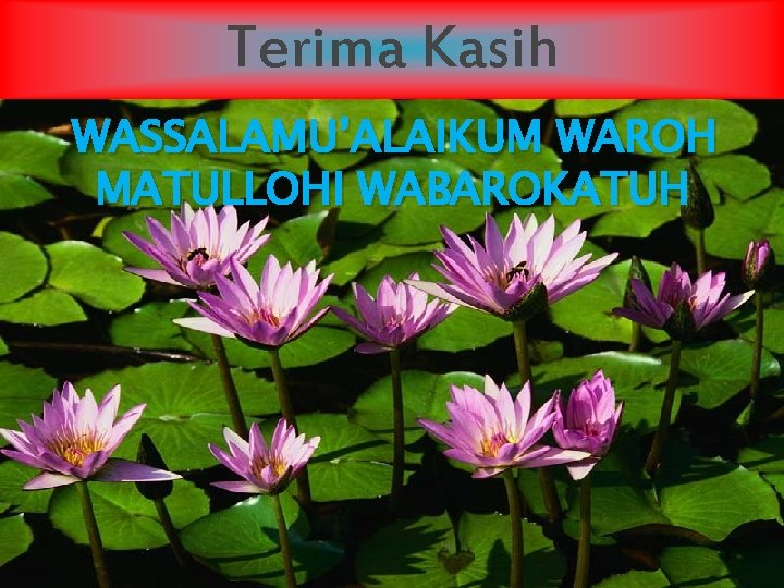 Terima Kasih WASSALAMU’ALAIKUM WAROH MATULLOHI WABAROKATUH 