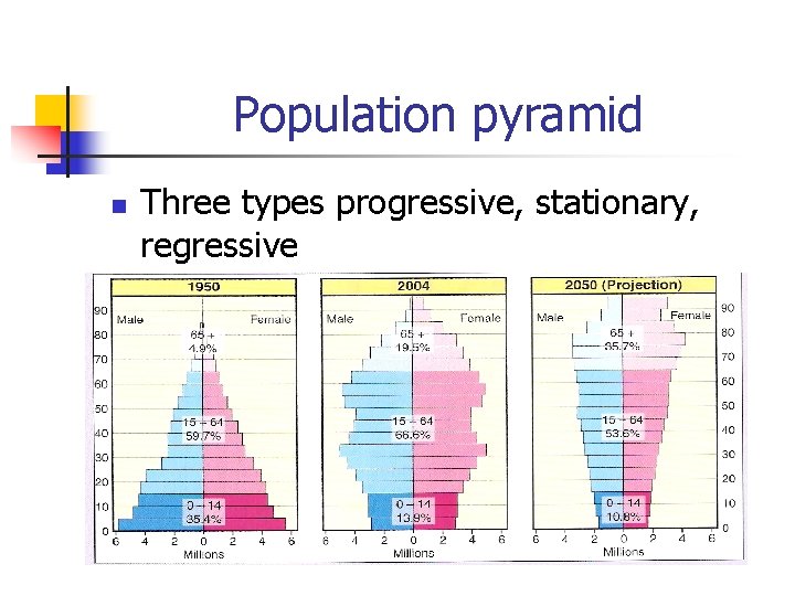 Population pyramid n Three types progressive, stationary, regressive 