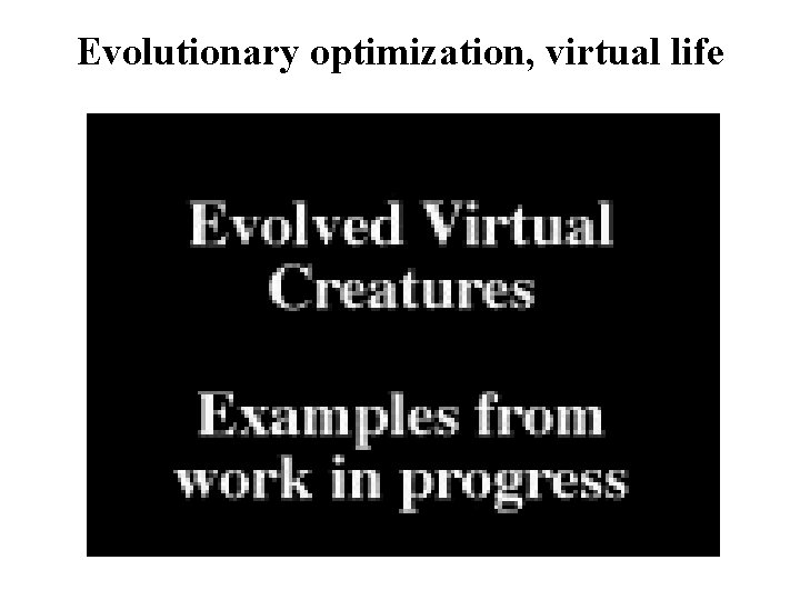 Evolutionary optimization, virtual life 