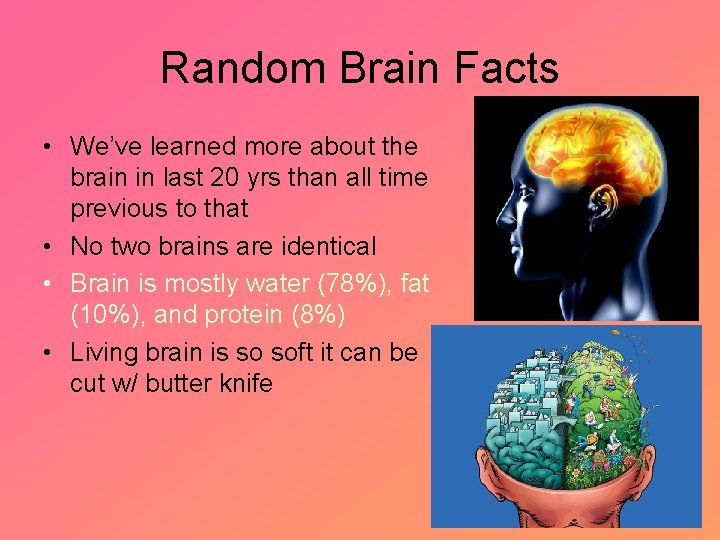 Random Brain Facts • We’ve learned more about the brain in last 20 yrs