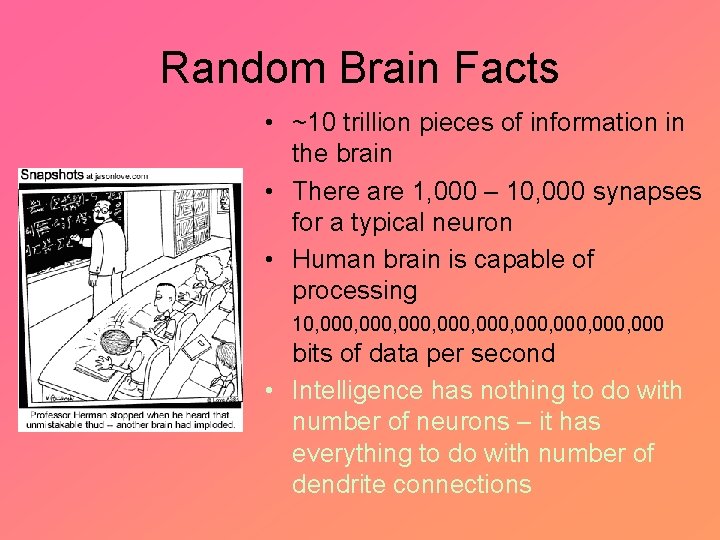 Random Brain Facts • ~10 trillion pieces of information in the brain • There