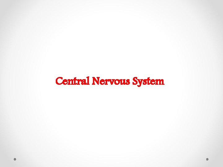 Central Nervous System 