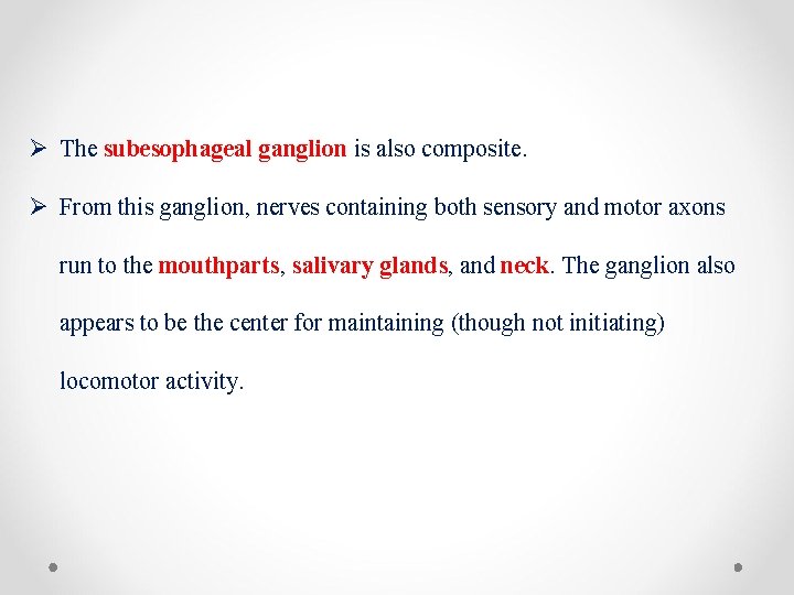 Ø The subesophageal ganglion is also composite. Ø From this ganglion, nerves containing both