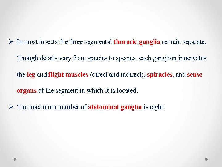 Ø In most insects the three segmental thoracic ganglia remain separate. Though details vary