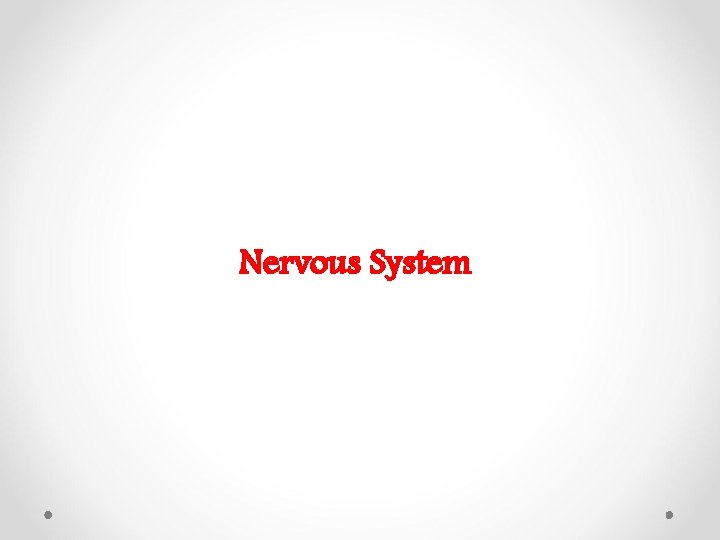 Nervous System 
