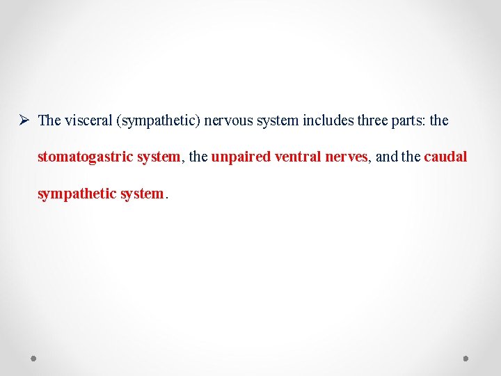 Ø The visceral (sympathetic) nervous system includes three parts: the stomatogastric system, the unpaired