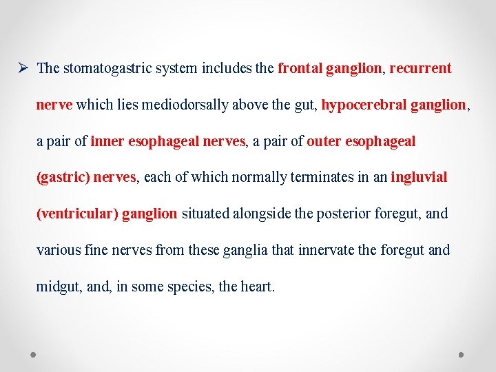 Ø The stomatogastric system includes the frontal ganglion, recurrent nerve which lies mediodorsally above