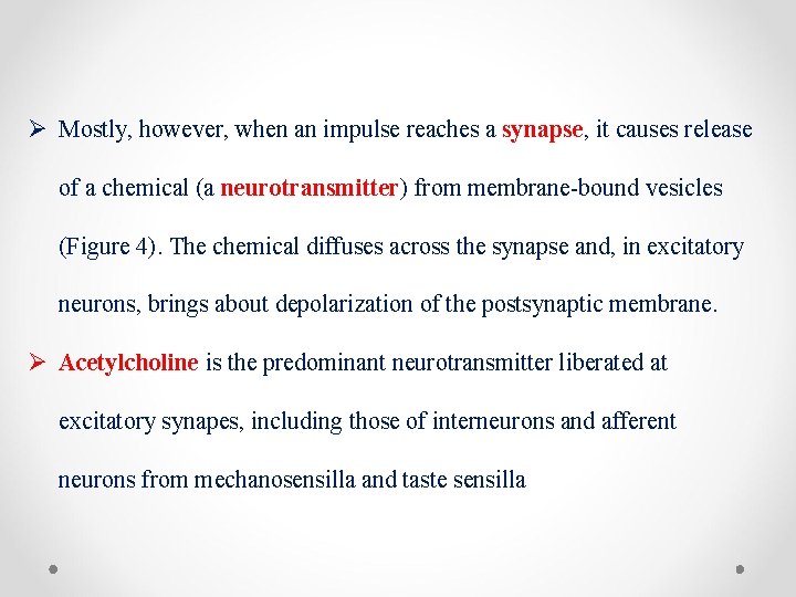 Ø Mostly, however, when an impulse reaches a synapse, it causes release of a