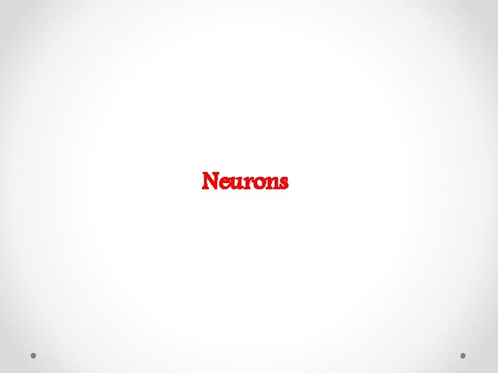 Neurons 