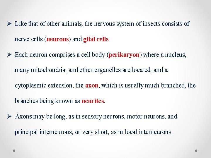 Ø Like that of other animals, the nervous system of insects consists of nerve