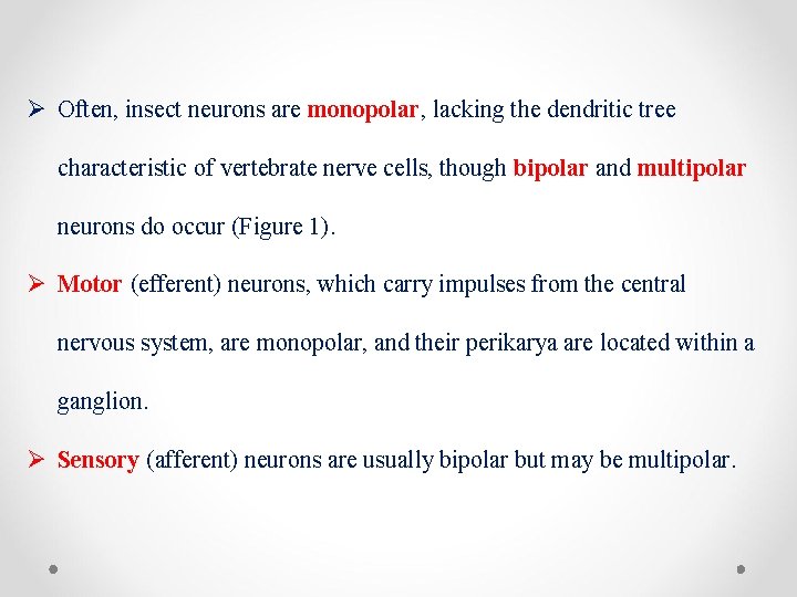 Ø Often, insect neurons are monopolar, lacking the dendritic tree characteristic of vertebrate nerve