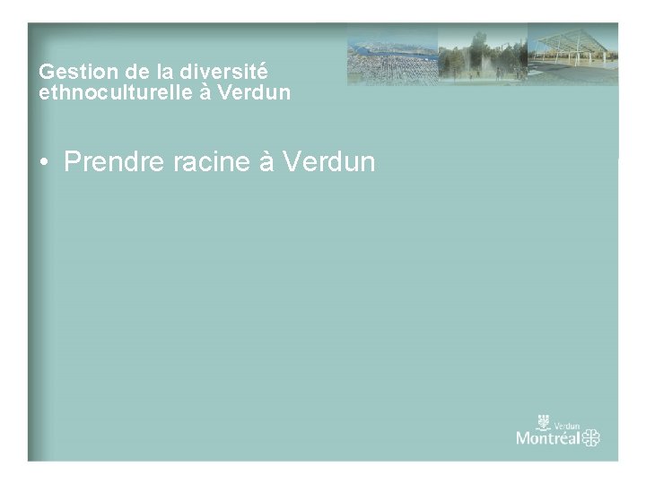 Gestion de la diversité ethnoculturelle à Verdun • Prendre racine à Verdun 