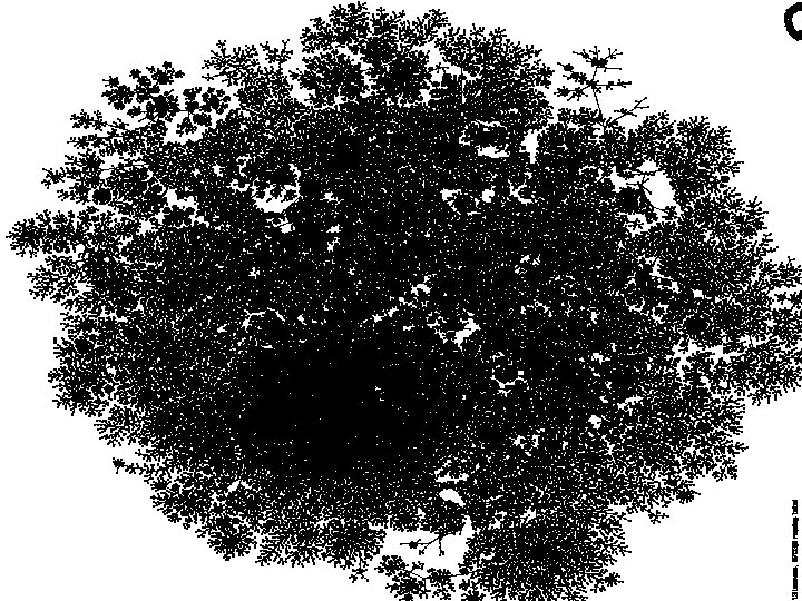 Mapping the Internet and intranets slide 47 of 120 