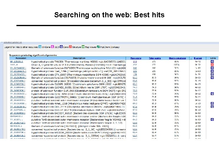 Searching on the web: Best hits 