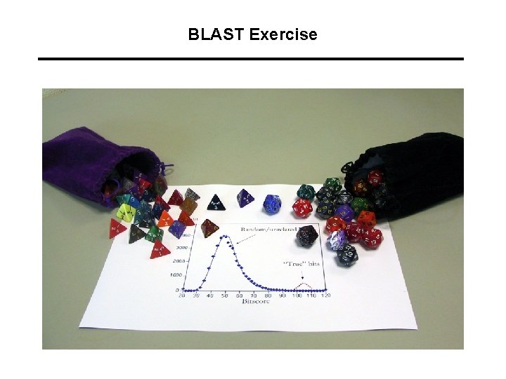 BLAST Exercise 