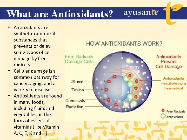 What are Antioxidants? • Antioxidants are synthetic or natural substances that prevents or delay