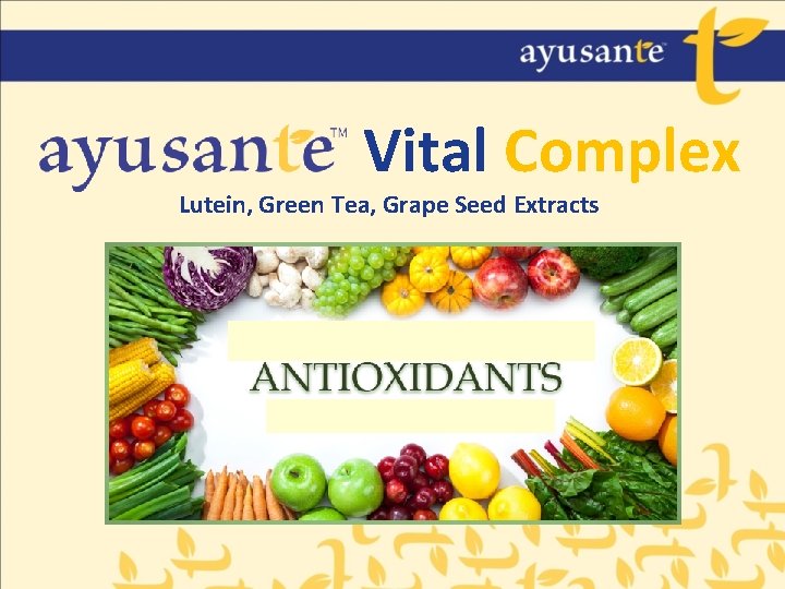 Vital Complex Lutein, Green Tea, Grape Seed Extracts 