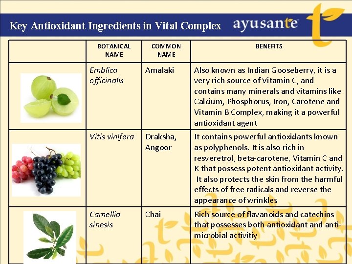 Key Antioxidant Ingredients in Vital Complex BOTANICAL NAME COMMON NAME BENEFITS Emblica officinalis Amalaki