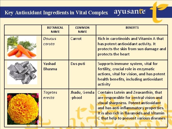 Key Antioxidant Ingredients in Vital Complex BOTANICAL NAME COMMON NAME BENEFITS Daucus carota Carrot