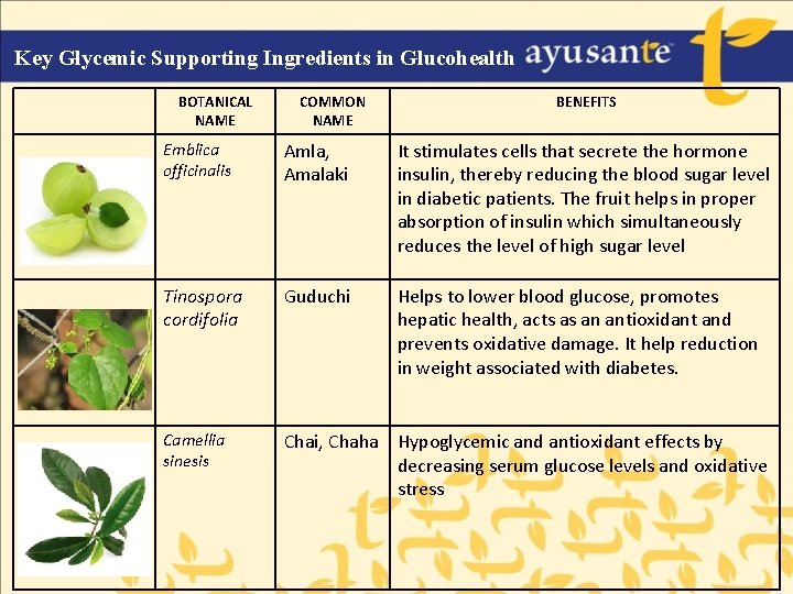 Key Glycemic Supporting Ingredients in Glucohealth BOTANICAL NAME COMMON NAME BENEFITS Emblica officinalis Amla,