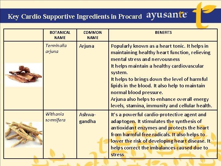 Key Cardio Supportive Ingredients in Procard BOTANICAL NAME COMMON NAME BENEFITS Terminalia arjuna Arjuna