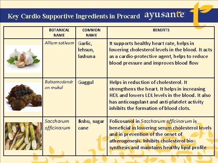 Key Cardio Supportive Ingredients in Procard BOTANICAL NAME COMMON NAME BENEFITS Allium sativum Garlic,
