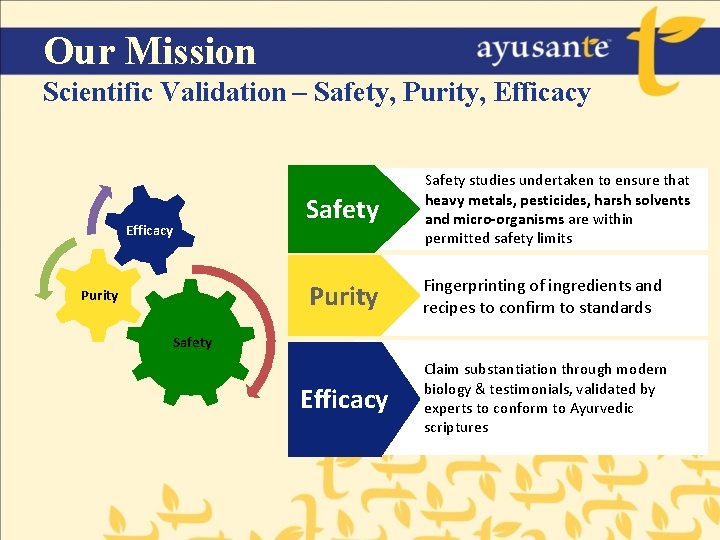 Our Mission Scientific Validation – Safety, Purity, Efficacy Purity Safety studies undertaken to ensure