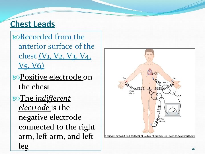 Chest Leads Recorded from the anterior surface of the chest (V 1, V 2,