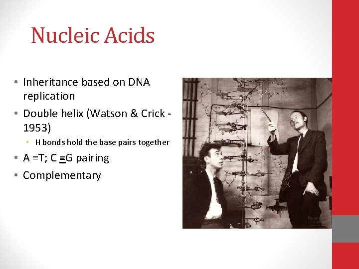 Nucleic Acids • Inheritance based on DNA replication • Double helix (Watson & Crick