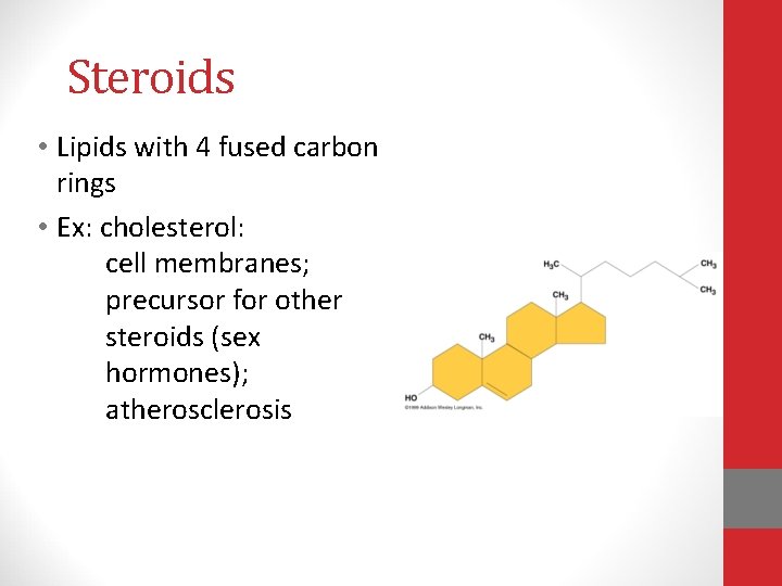 Steroids • Lipids with 4 fused carbon rings • Ex: cholesterol: cell membranes; precursor