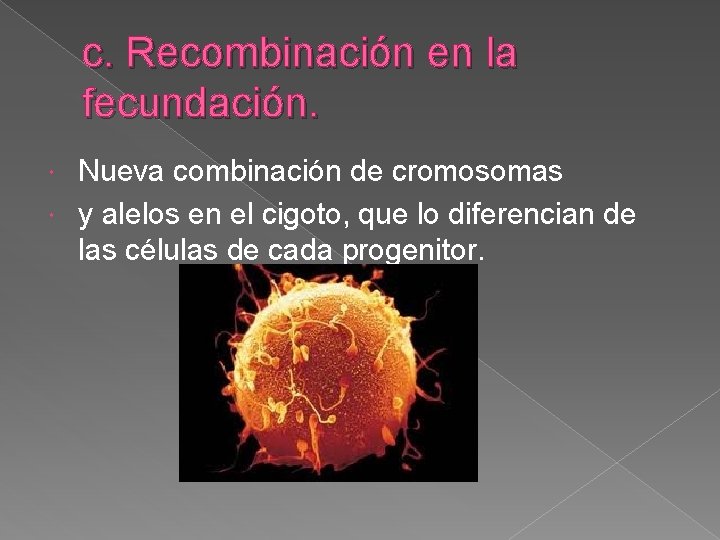 c. Recombinación en la fecundación. Nueva combinación de cromosomas y alelos en el cigoto,